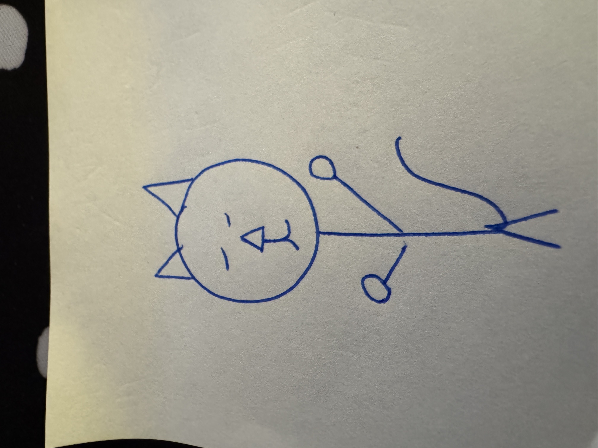 Cat Stick Figure